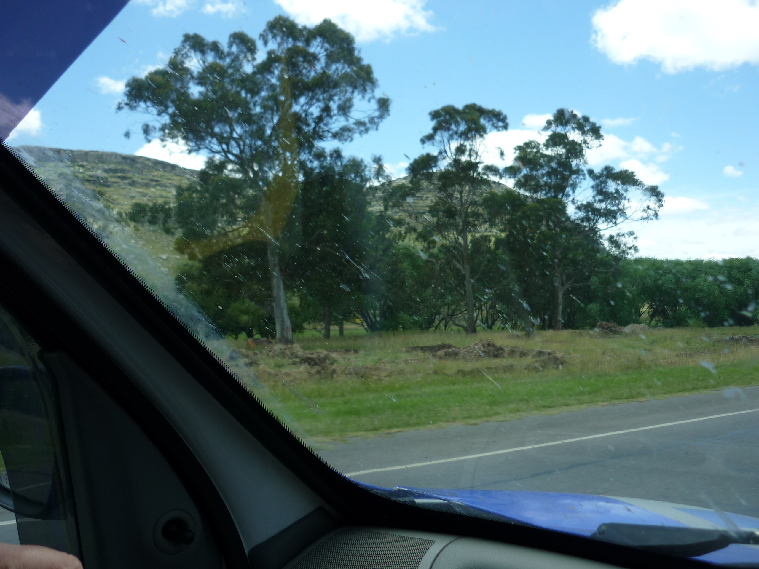 fotos/2009-12-07 - Mar del Plata Pezca Variada/P1000580.JPG